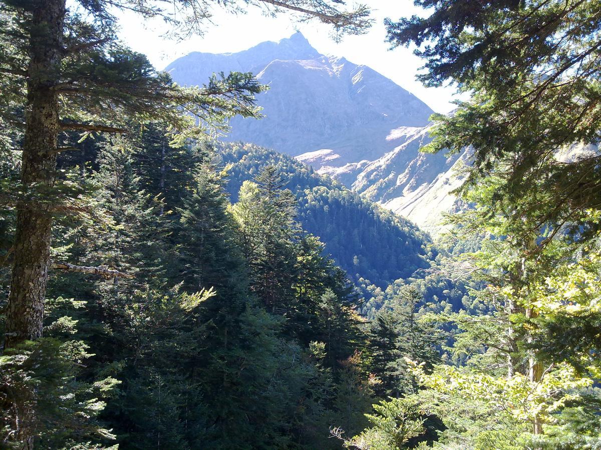 Castel De La Pique Bed & Breakfast Bagneres-de-Luchon Exterior photo